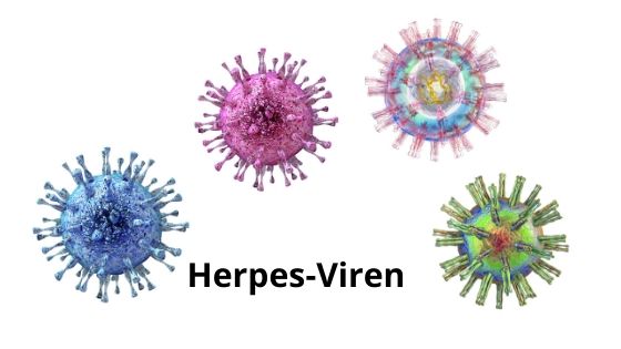 Natürlich Herpes-Viren loswerden - Quantum-Wave