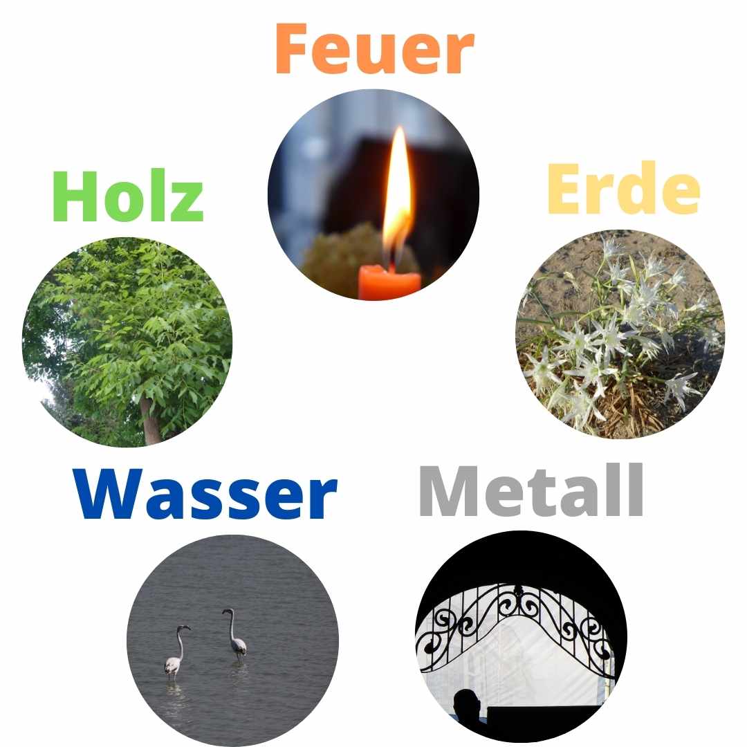 Motivation in Balance über die 5Elemente der TCM,