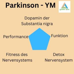 Parkinson energetisch verbessern