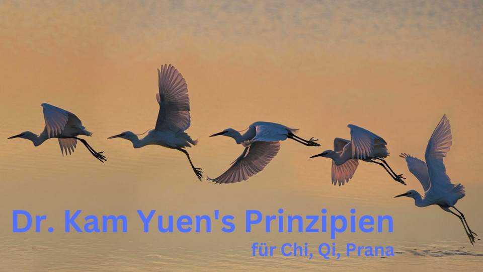 Dr. Kam Yuen's Prinzipien für Chi, Qi, Prana
